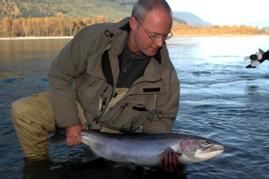 Steelhead in BC Steelhead in BC