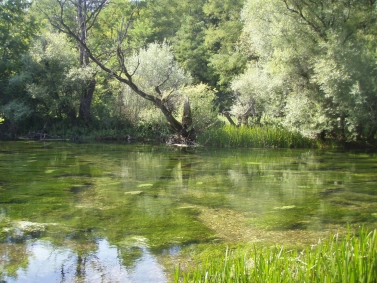 Perfect habitat Perfect habitat