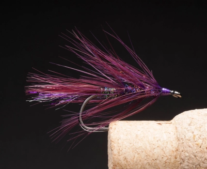 Purple Omoe Brush Purple Omoe Brush