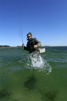 Out of the way Out of the way