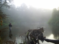 Jeff in the mist Jeff in the mist