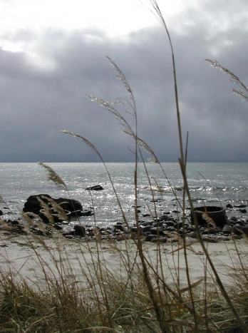 Dark skies Dark skies