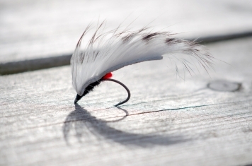 Ahrex Gammarus hook Ahrex Gammarus hook