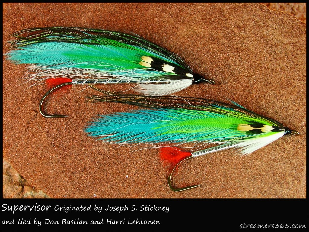 #20 Supervisor - Don Bastian and Harri Lehtonen