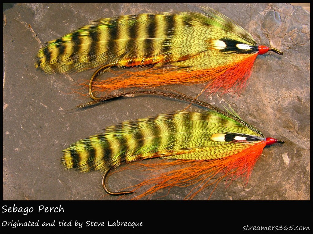 #34 Sebago Perch - Steve Labrecque #34 Sebago Perch - Steve Labrecque