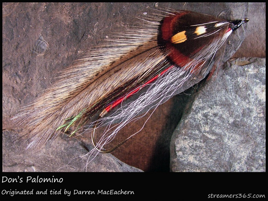 #111 Don's Palomino - Darren MacEachern