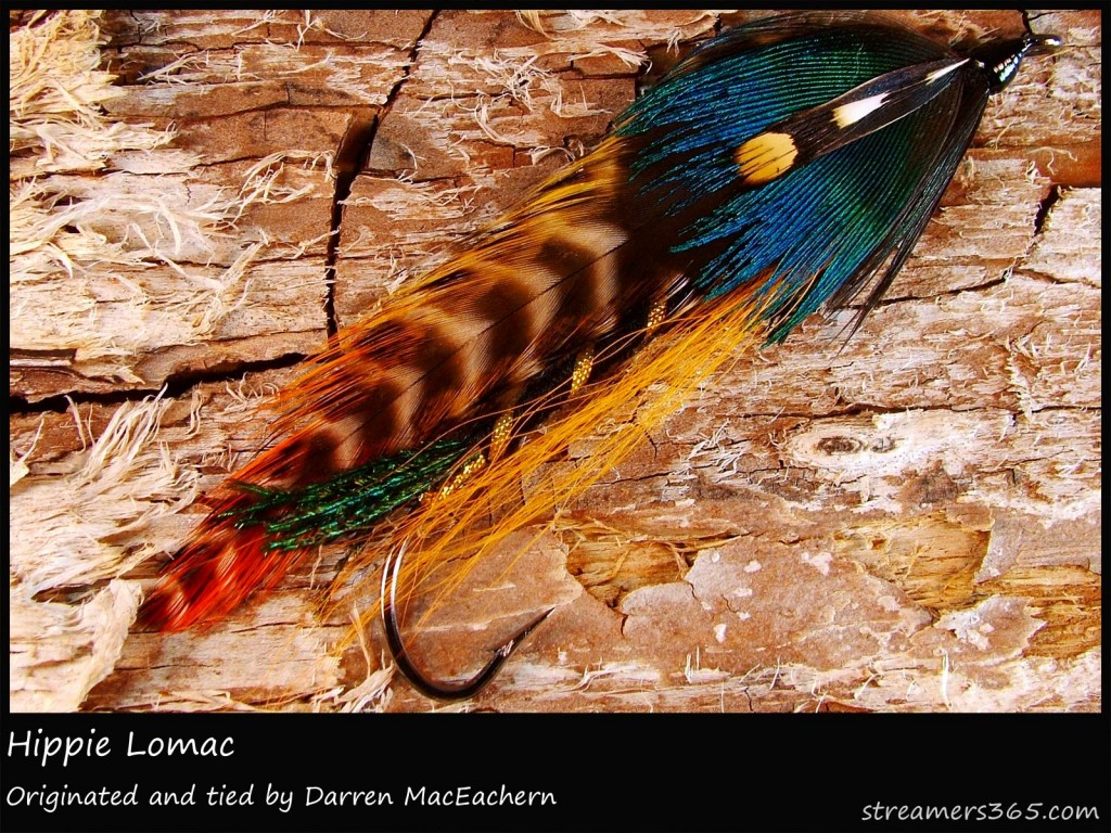 #152 Hippie Lomac - Darren MacEachern #152 Hippie Lomac - Darren MacEachern