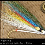 #99-2013 Silver Doctor Hairwing - Barry Phillips