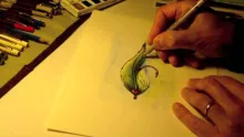 Video thumb for Tying Flies: The Process 