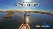 Video thumb for FatBoy in the Bayou
