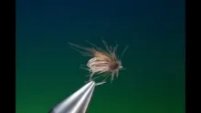 Video thumb for Clarke's Caddis