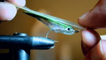 Video thumb for Gummy Minnow