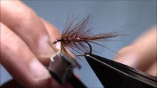 Video thumb for McTeare's Silver Dabbler