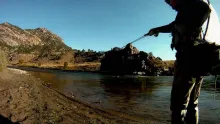 Video thumb for Streamers On The Arkansas River
