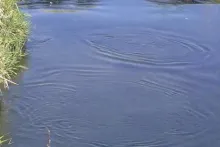 Video thumb for Fishing hoppers at Whites Ranch