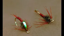 Video thumb for Claret Pheasant Tail Nymph
