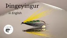 Video thumb for Þingeyingur