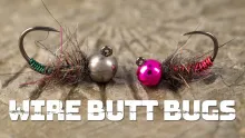 Video thumb for Wire Butt Bugs