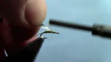 Video thumb for Killer Mayfly Nymph