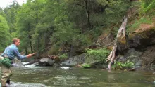 Video thumb for Tenkara fly-fishing 