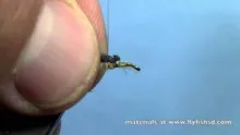 Video thumb for CDC Emerging Mayfly Nymph