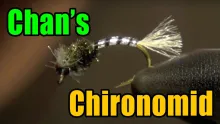 Video thumb for Chan's Chironomid