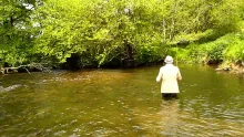 Video thumb for Fly Fishing on a Westcountry stream