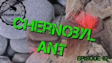 Video thumb for Chernobyl Ant