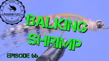 Video thumb for Balking Shrimp
