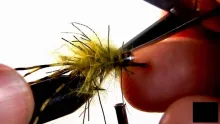 Video thumb for McTage's Primordial Carp-Stew Carp Fly