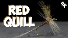 Video thumb for Red Quill