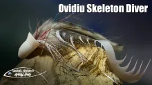 Video thumb for Ovidiu Skeleton Diver