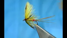 Video thumb for Rollover CDC Mayfly