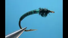 Video thumb for Caddis Quill Larva