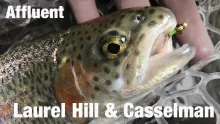 Video thumb for Laurel Hill Creek & Casselman River