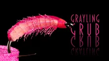Video thumb for Grayling Grub