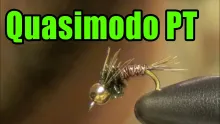 Video thumb for Quasimodo Pheasant Tail