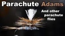 Video thumb for Parachute Adams