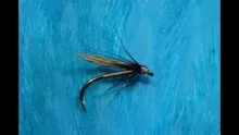 Video thumb for Sand Fly