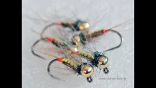 Video thumb for Pheasant tail jig nymph