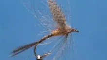 Video thumb for March Brown Emerger