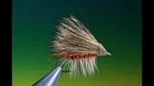 Video thumb for October Caddis