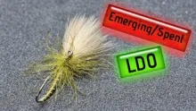 Video thumb for Emerging/Spent LDO