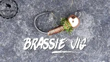 Video thumb for Brassie Jig