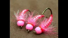 Video thumb for Pink Grayling Bug