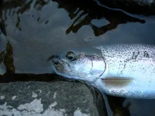 User submitted picture: 20 minutes from Santiago ...