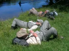 User submitted picture: Guide (background) and tw...