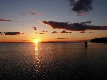 User submitted picture: Ripley wading into the su...