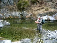 User submitted picture: Very clear & deceptively ...