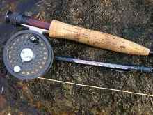 User submitted picture: A February Outing